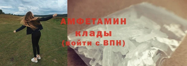 прущие грибы Арсеньев