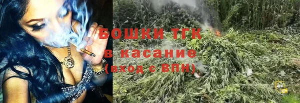 прущие грибы Арсеньев
