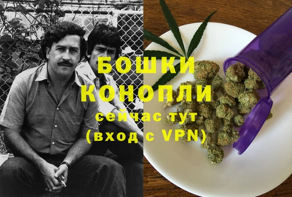 прущие грибы Арсеньев