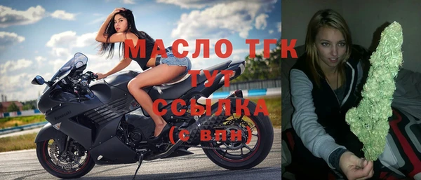 индика Приозерск