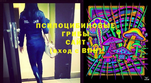 герыч Россошь