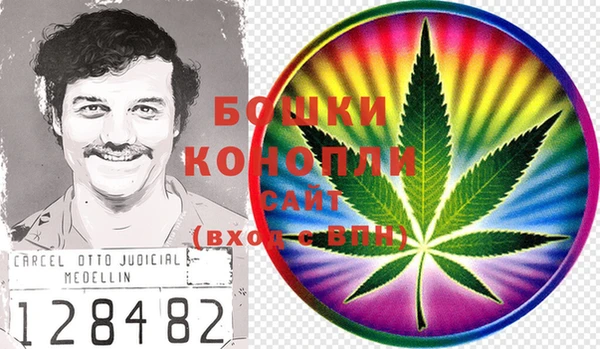 прущие грибы Арсеньев