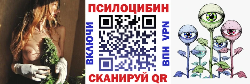Псилоцибиновые грибы Cubensis  Салехард 