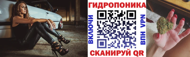 Канабис VHQ  Салехард 